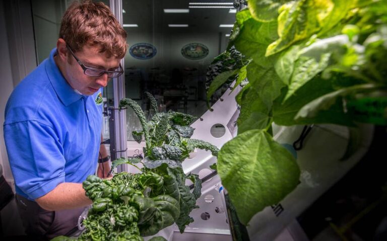 Proposal imagines Air Force Academy facility with food that’s out of this world