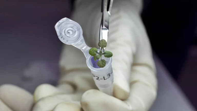 Farming on the Moon could become a reality sooner rather than later