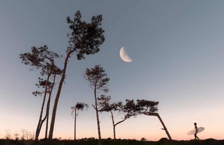 Greening the Cosmos: Sustainable Agriculture on the Moon
