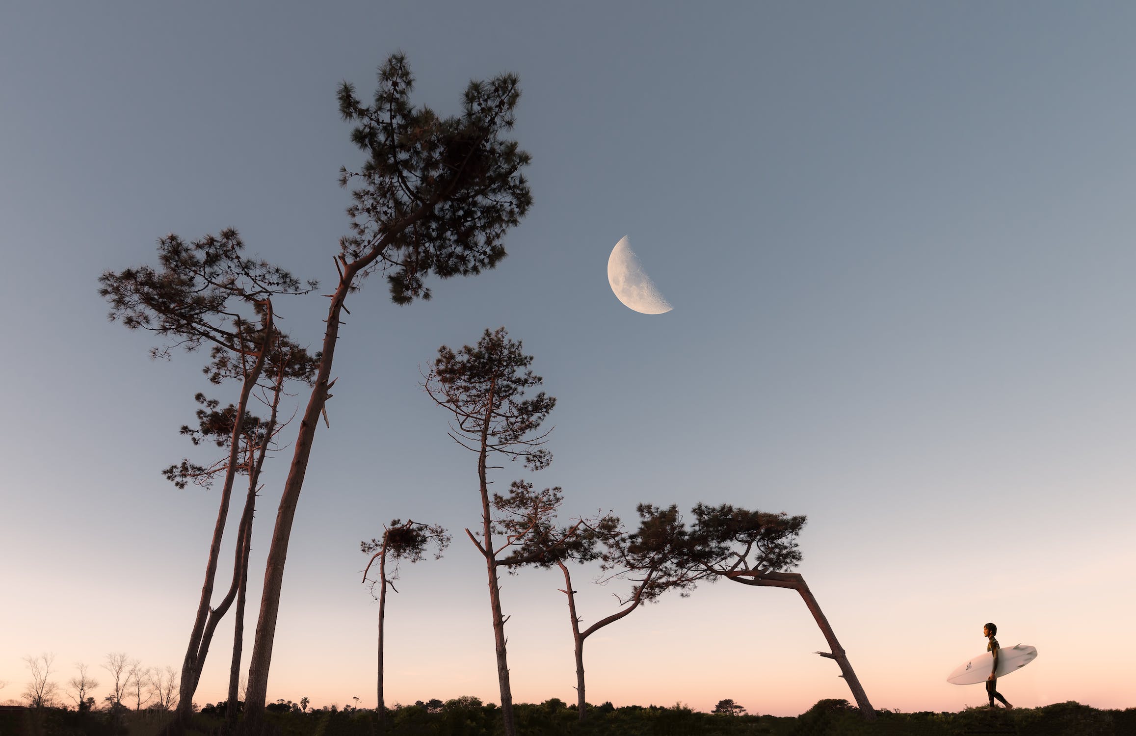 Greening the Cosmos: Sustainable Agriculture on the Moon