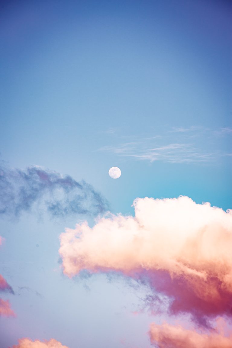 The Lunar Green Revolution: Moonganic's Vision for Sustainable Food Security