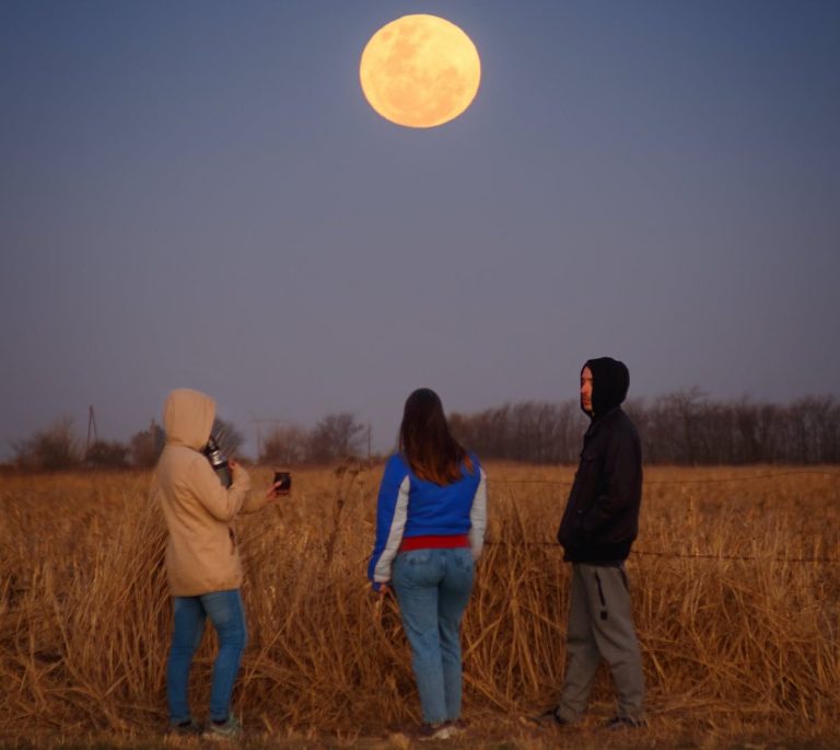 Moonganic: Transforming Earth and Beyond with Sustainable Innovation