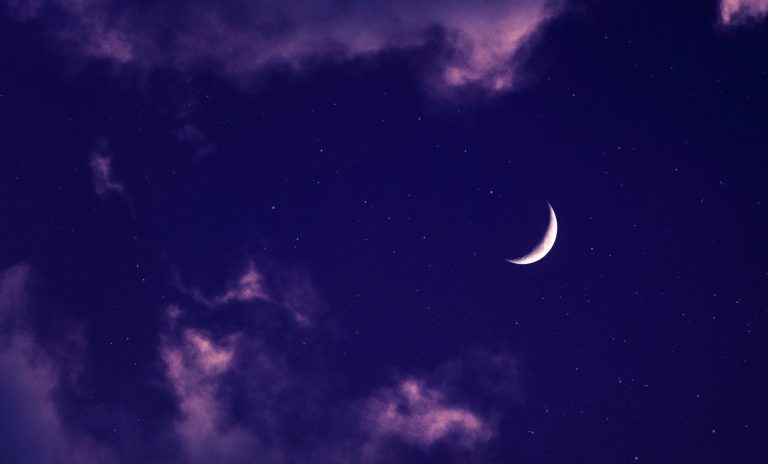 Inviting Innovators: Join Moonganic's Sustainable Space Odyssey