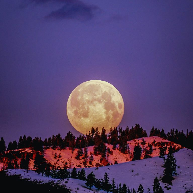 Unlocking the Mysteries of Space Agriculture: The Moonganic Journey