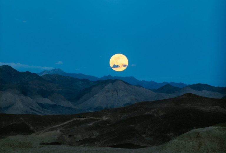 Cultivating a Greener Cosmos: Moonganic's Interstellar Vision