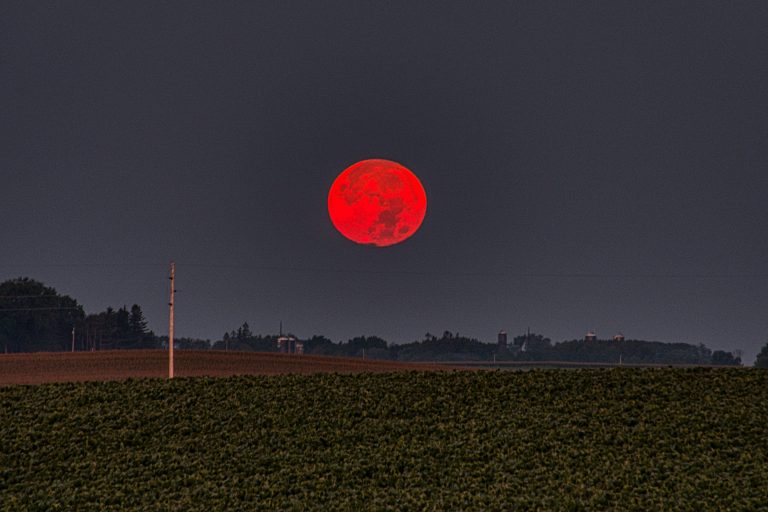 Moonganic: Cultivating Sustainability on Earth and in Space
