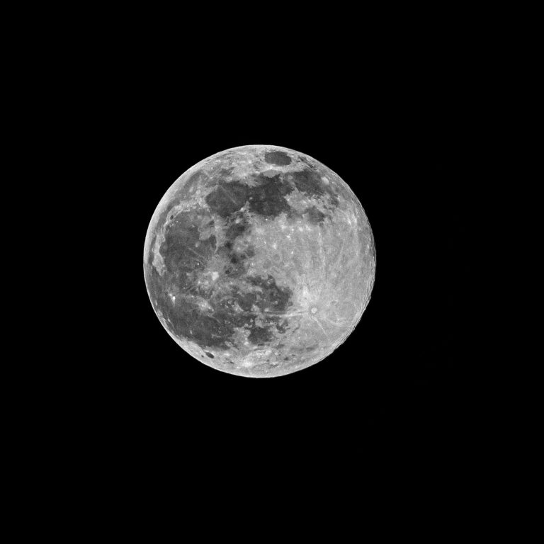 Moonganic: Pioneering Sustainable Space Farming for Interstellar Colonization | Moonganic