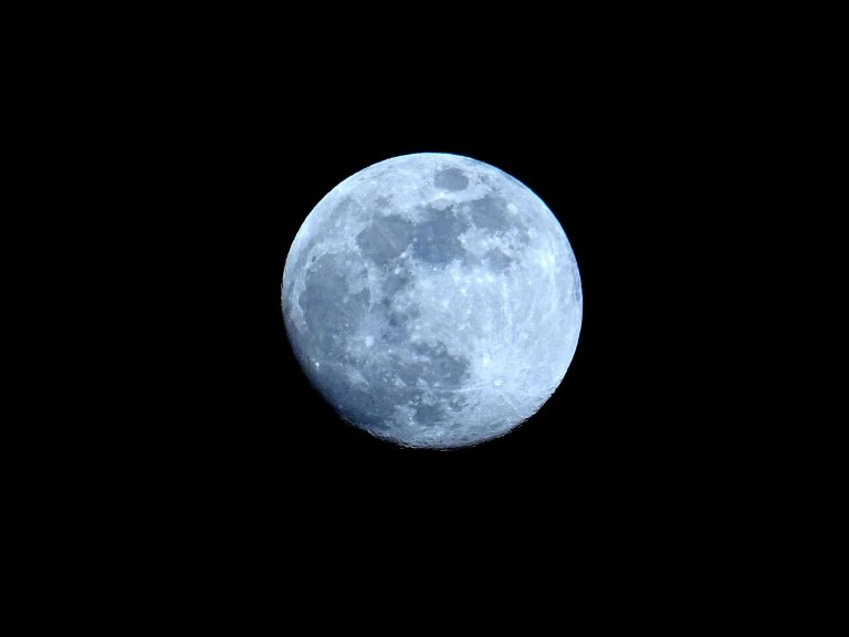 Moonganic's Lunar Farming: Pioneering Sustainable Agriculture on the Moon | Moonganic