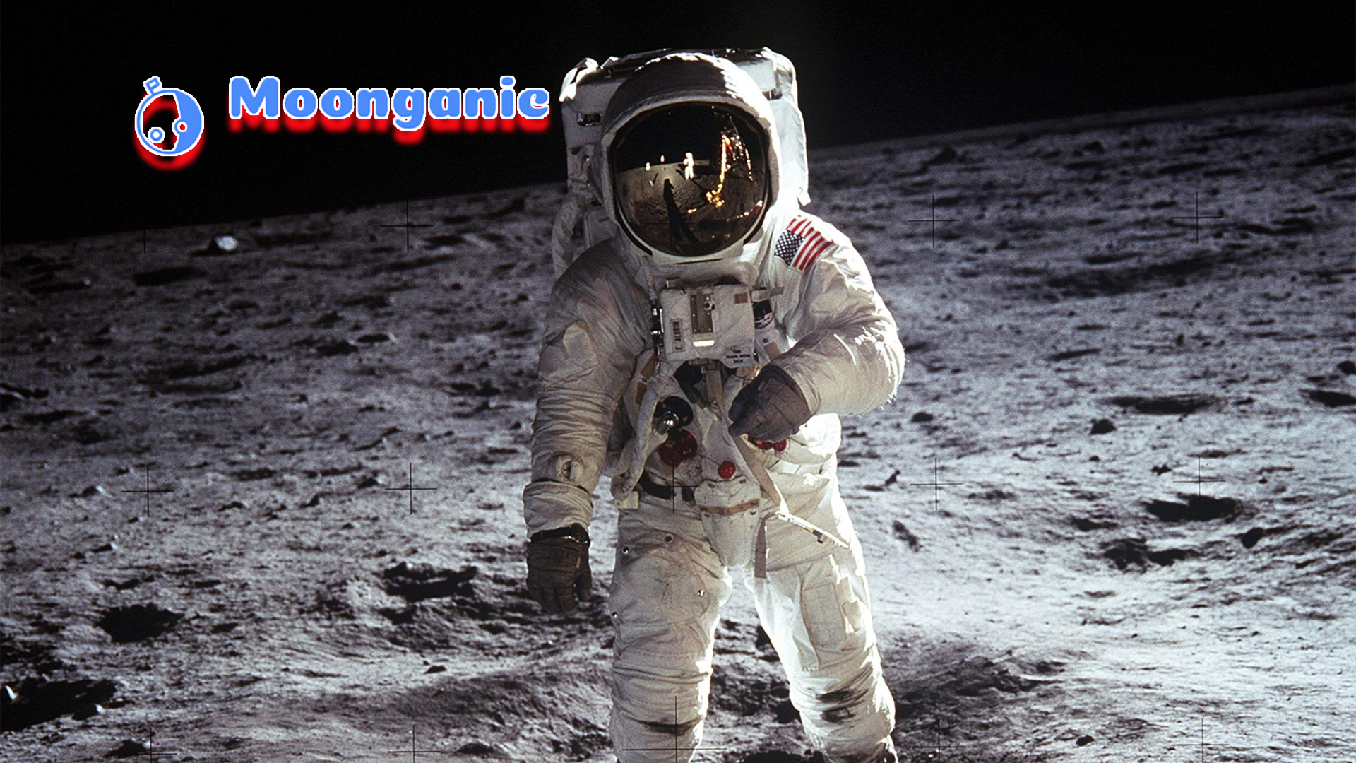 Pioneering the Future of Space Agriculture: Moonganic's Take on Lunar and Sustainable Farming Innovations