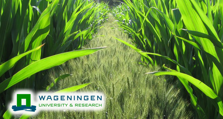 Growing Food on Mars: Wageningen University’s Soil Study