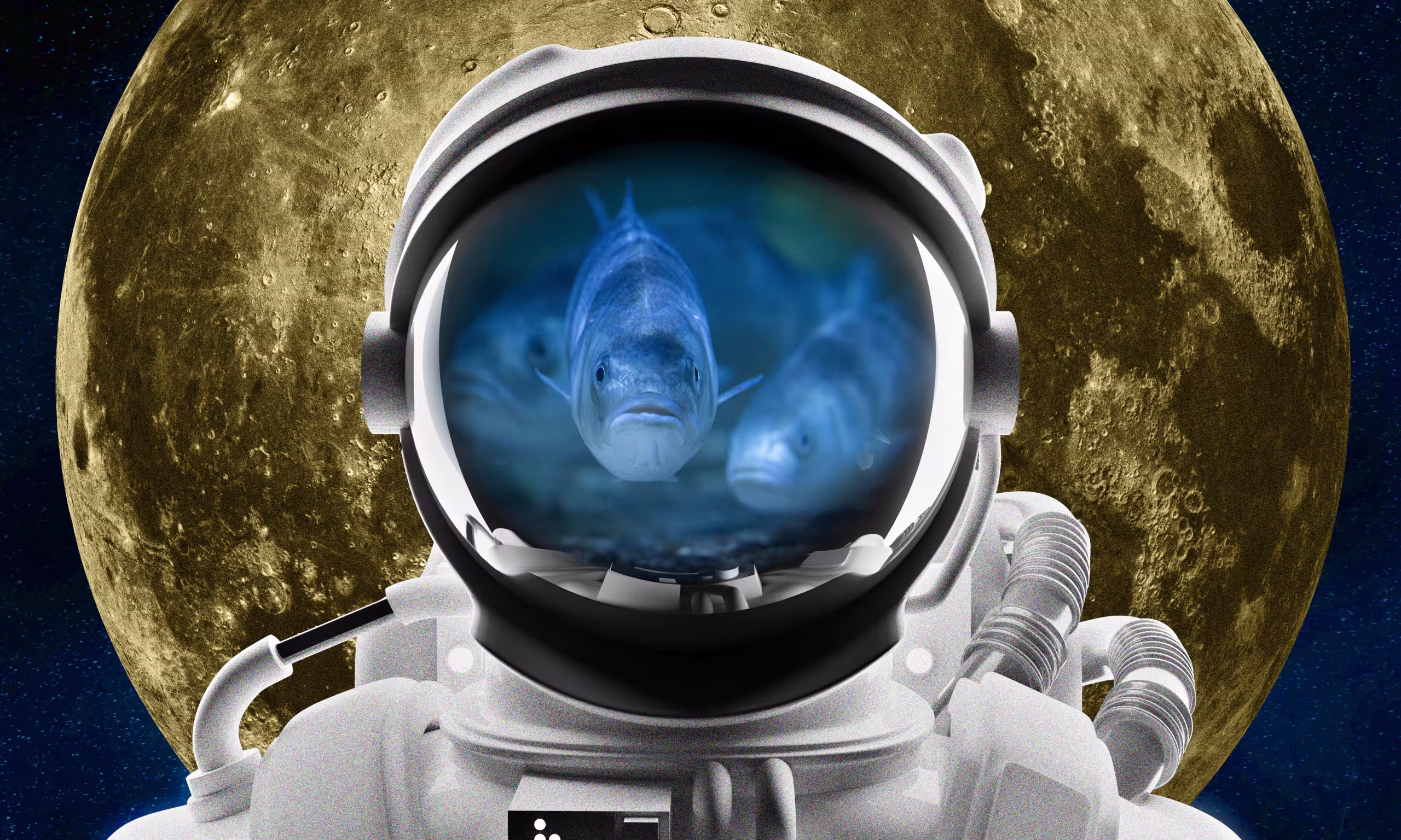 Lunar Hatch: Bringing Aquaculture to the Moon and Earning Moonganic's Watchful Eye