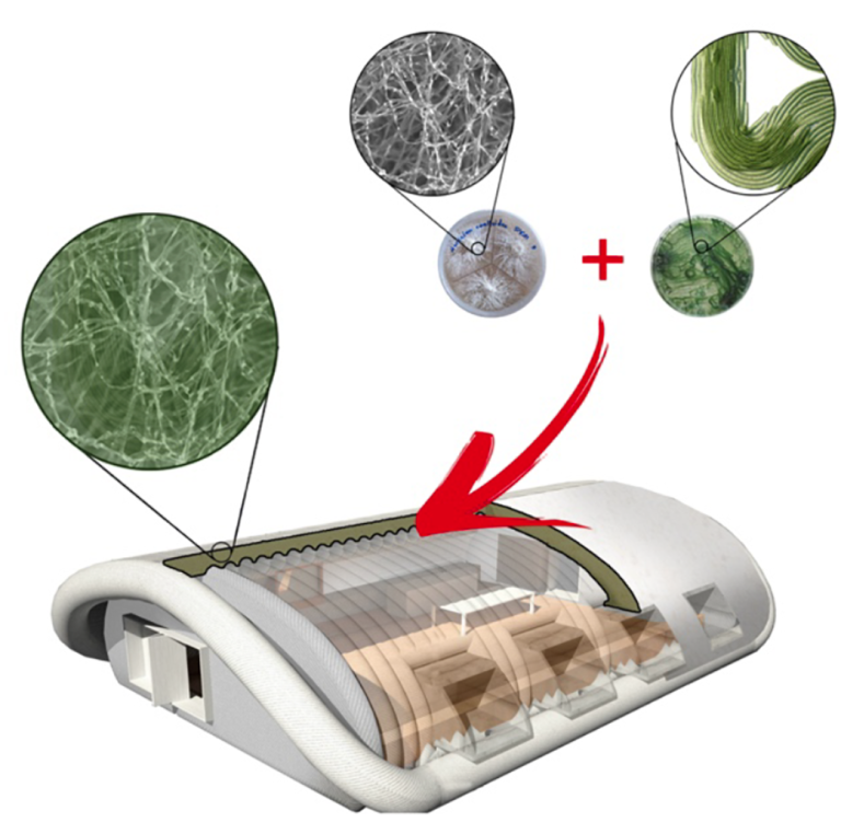 NASA’s Mycotecture Project: Mushroom Habitats for the Moon